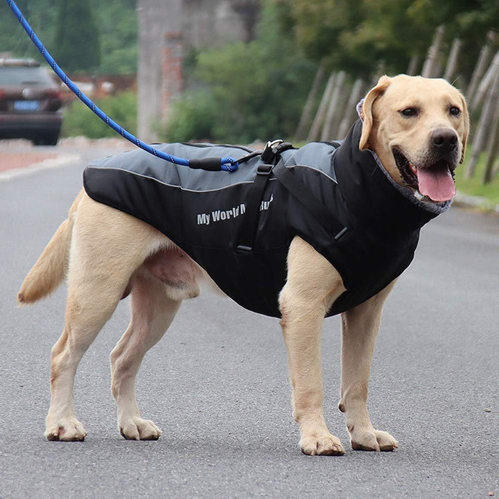 Idepet Hund Mantel Warme Jacke, Reflektierender Haustier-Schneeanzug Sport im Freien wasserdichte Hu