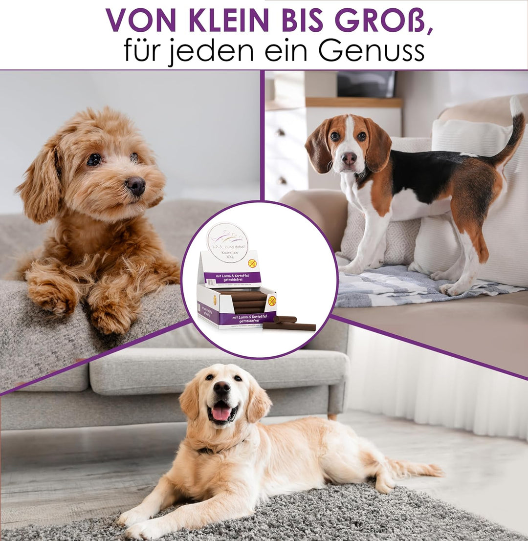 123... Hund dabei! - Kaurollen XXL 50er Tray (Lamm) - Dentalkaurolle - Getreidefrei - Vorteilspaket
