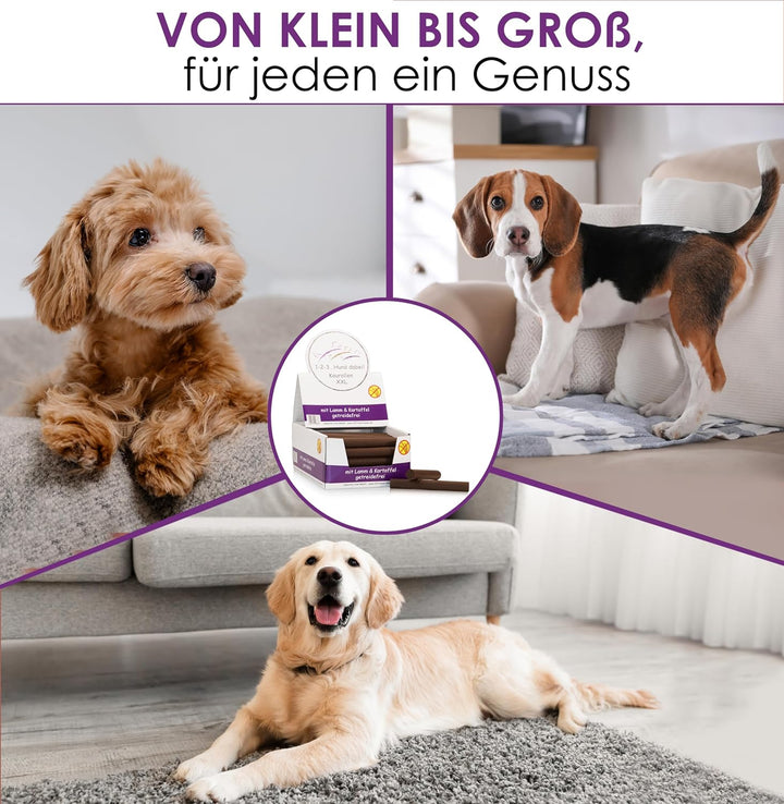 123... Hund dabei! - Kaurollen XXL 50er Tray (Lamm) - Dentalkaurolle - Getreidefrei - Vorteilspaket