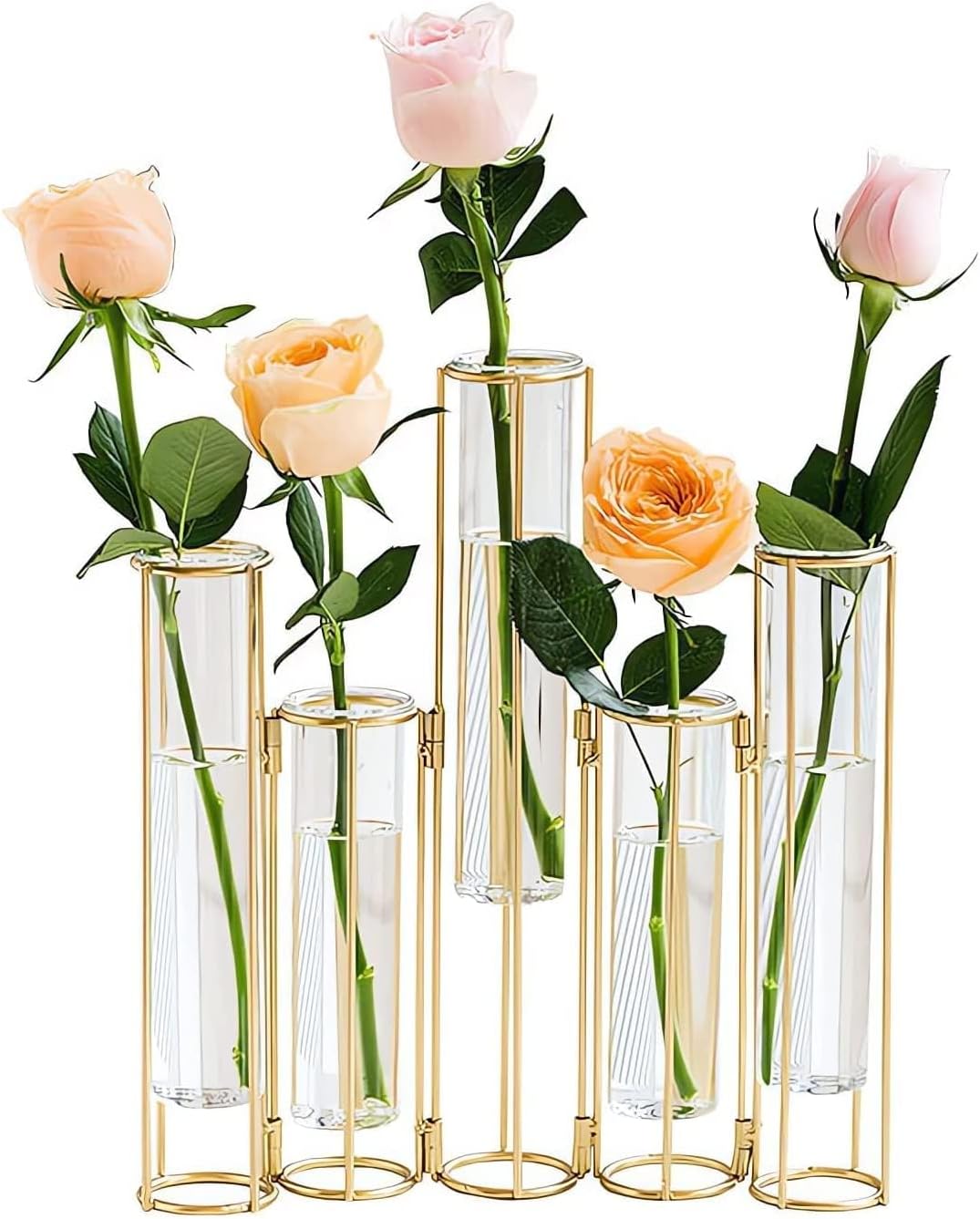 Nother Reagenzglas-Vase für Blumen, Glasvase mit Metallständer, Hydrokultur-Reagenzglasvase, 5er-Set