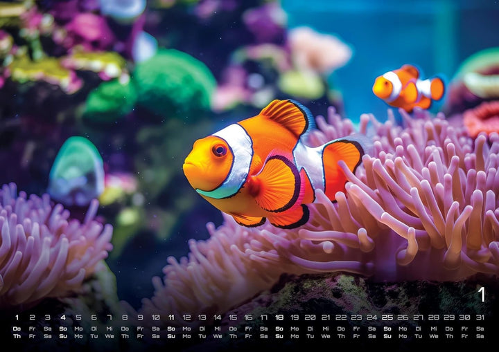 Sealife - verborgene Tiefen - 2026 - Kalender DIN A2: Der Wandkalender mit den schönsten Unterwasser