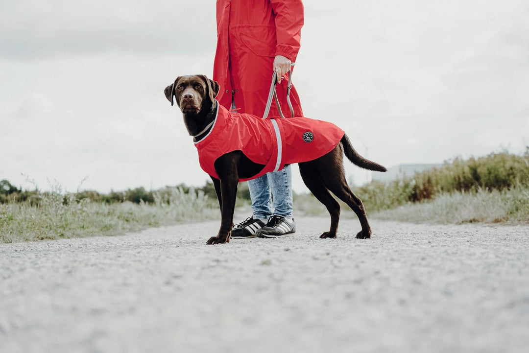 HUNTER UPPSALA RAIN Hunde-Regenmantel, mit reflektierenden Streifen, 65, rot rot 65, rot 65