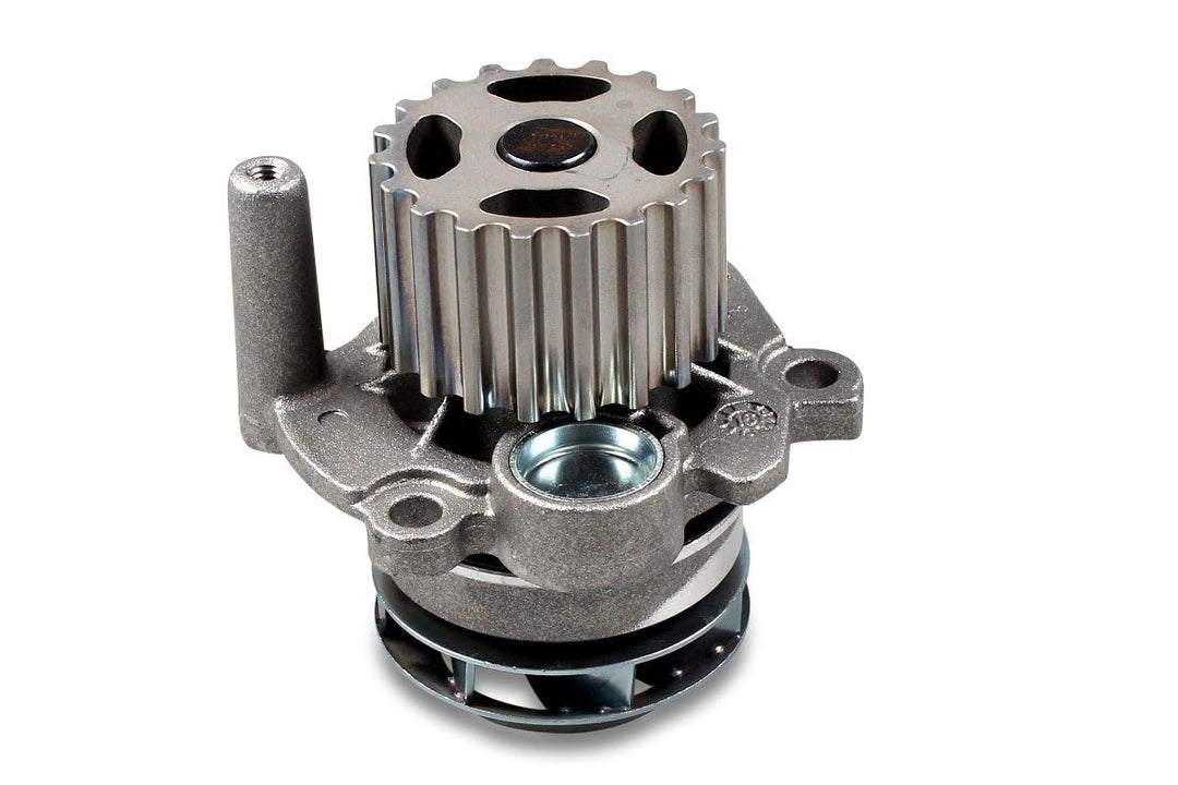 Hepu P569 Wasserpumpe