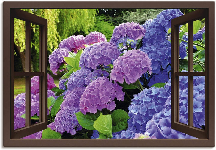 ARTland Leinwandbilder Wandbild Bild auf Leinwand 70x50 cm Fensterblick Hortensien im Garten T5QA Ho