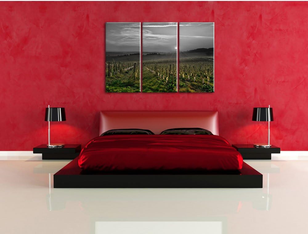 Pixxprint Weinberg in Bergerac Frankreich / 3-Teilig/Gesamtmass 120cm Leinwandbild bespannt auf Holz