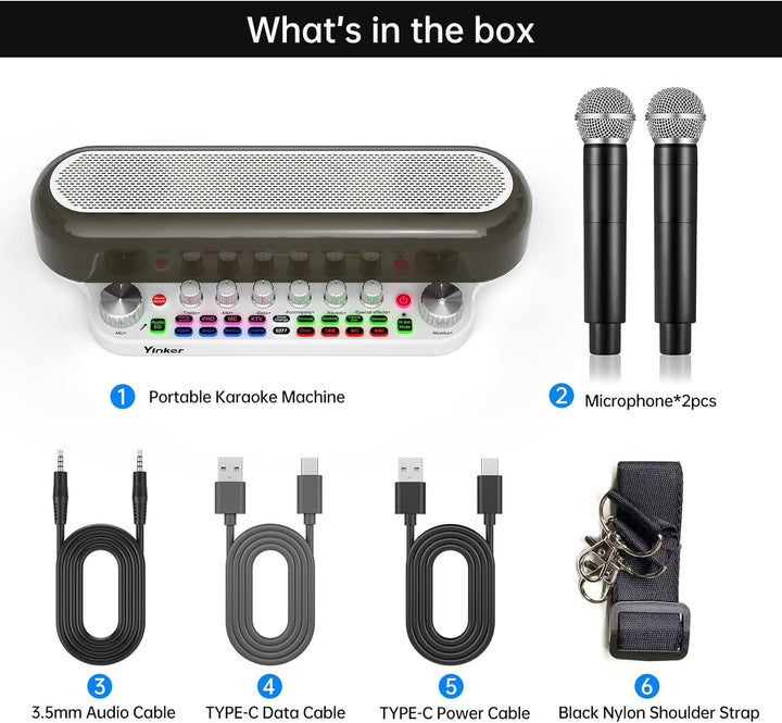 Audio Mixer Bluetooth Maschine mit 2 Kabellose Mikrofones Tragbarer Karaoke Lautsprecher, Live Sound