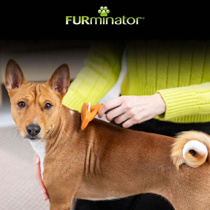 FURminator deShedding-Tool Hund Grösse M Kurzhaar - Hundebürste für mittelgrosse Hunde zur Entfernun