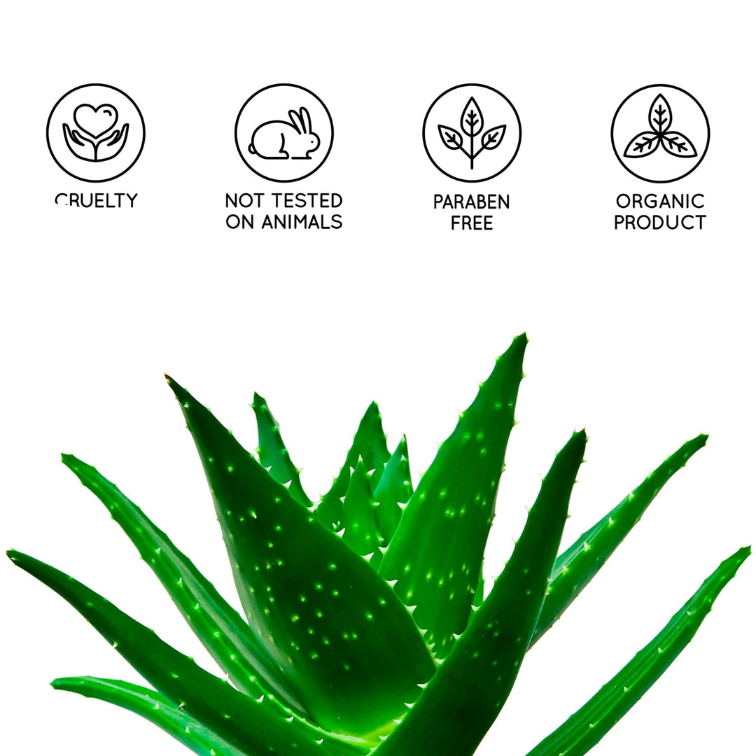 Aloe-Vera-Gel 1000 ml aus Bio-Pflanzen der Kanarischen Inseln, Skincare Babys und Haustiere, Frische