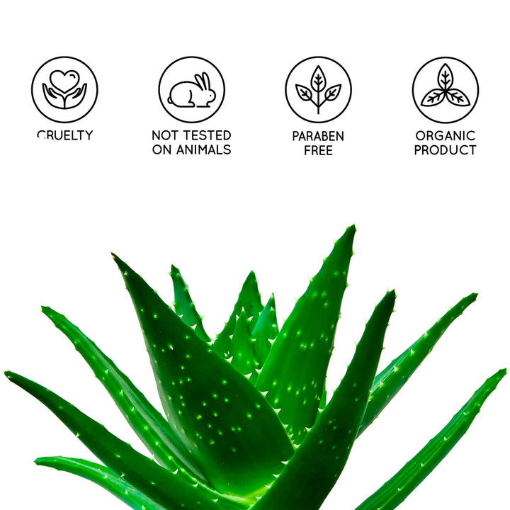 Aloe-Vera-Gel 1000 ml aus Bio-Pflanzen der Kanarischen Inseln, Skincare Babys und Haustiere, Frische