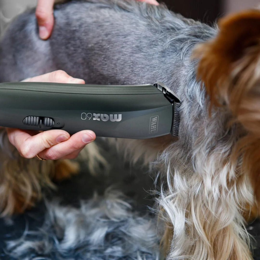 Rotschopf24 Edition: Für Profi Scherarbeiten. Starke Schermaschine (Hunde bis 25KG) + 8 Metallaufsät