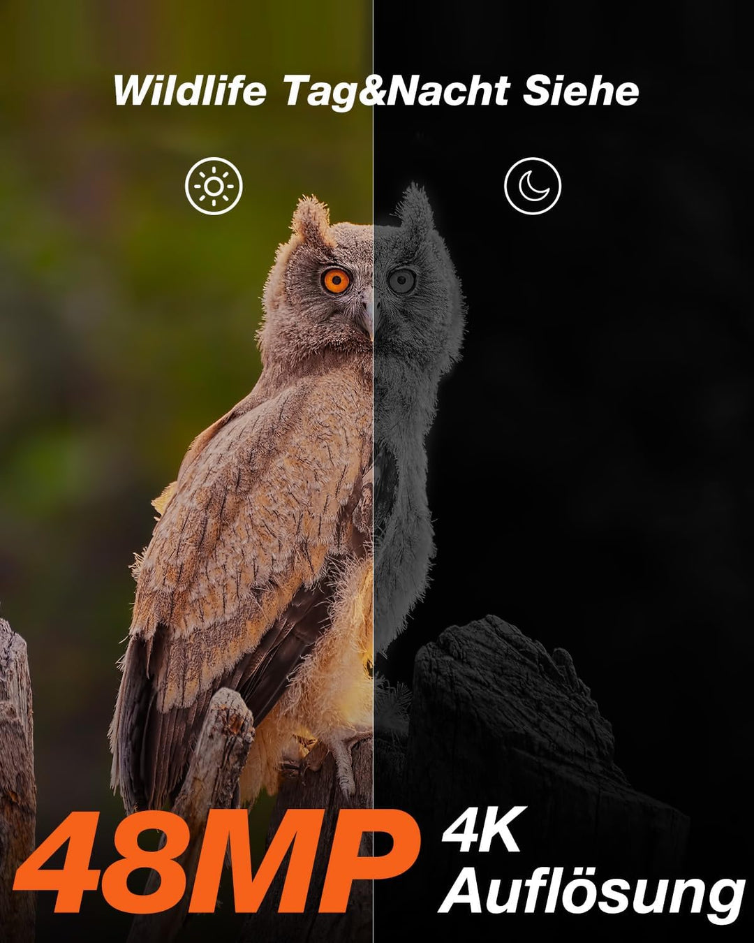 iZEEKER Solar Wildkamera, 2,7K/1520P 30fps 36MP Wildtierkamera mit 940 nm No Glow Infrarot LEDs, Wil