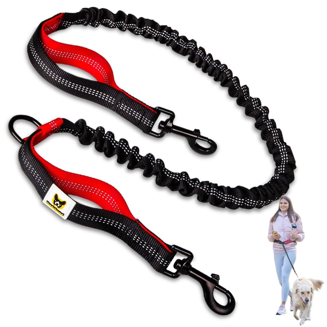Hundefreund Bungeeteil für Joggingleine | Verlängerung für Hundeleine | Ersatzleine mit elastischem