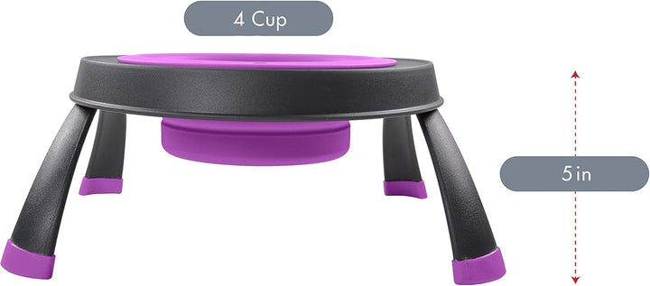 Dexas Pets Futternapf, erhöht, für 4 Tassen, Fuchsia, gross Large/4 Cup Capacity Fuchsia, Large/4 Cu
