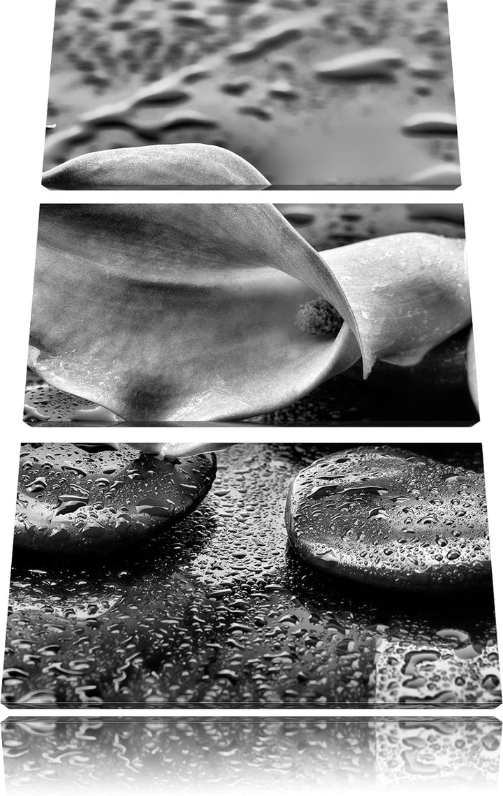 Pixxprint Callas im Regen als Leinwandbild/Grösse: 3 Teilig (120x80) cm/Wandbild/Kunstdruck/fertig b