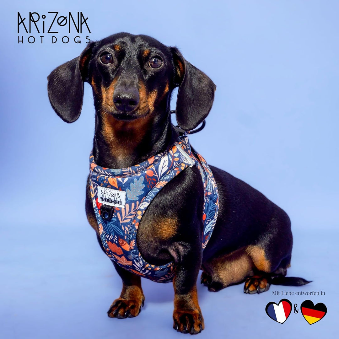 Hundegeschirr Step-In Neopren | Arizona Hotdogs Geschirr Fall in Love | XS Fall in Love XS, Fall in