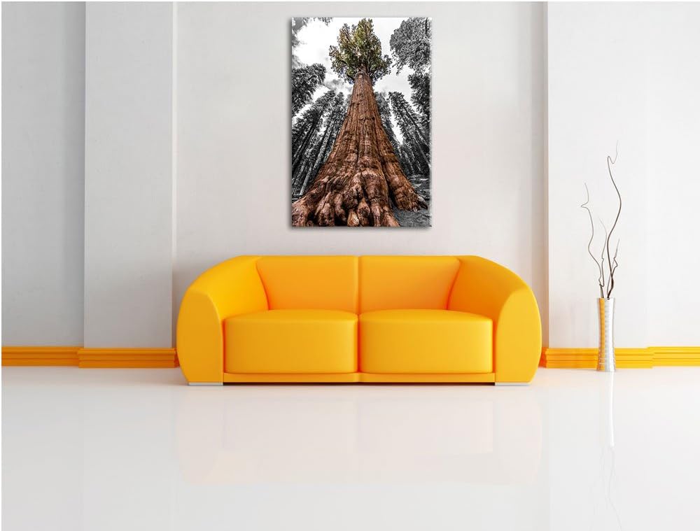 Wald Riesenbaum Regenwald Nebel schwarz/weiss Format: 100x70 auf Leinwand, XXL riesige Bilder fertig
