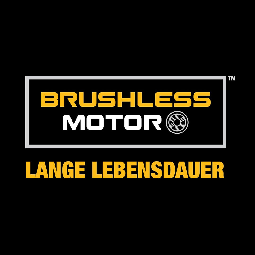 Dewalt 18V 3-Gang Akku-Schlagbohrschrauber DCD996P2 (11-stufiges Drehmomentmodul, drei-Stufen-LED mi