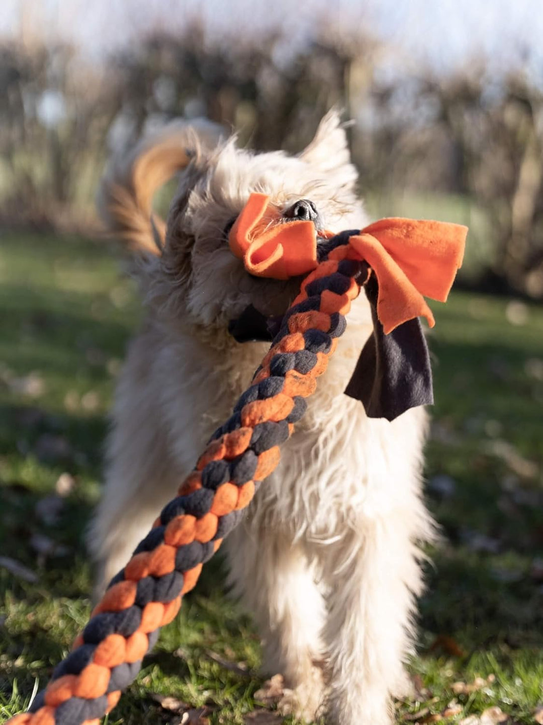 TrendPet Zergel, Zerrspielzeug, Spielzeug für Hunde (4,0x40cm), 4,0x40cm