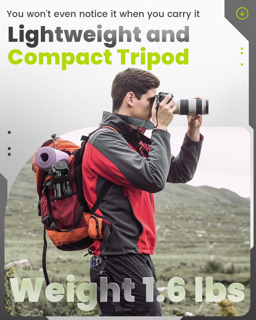 CAMBOFOTO 12.5'' Reisestativ 62cm Leichtes Stativ mit 3-Wege-Kopf und Tragetasche Schwarz, Schwarz