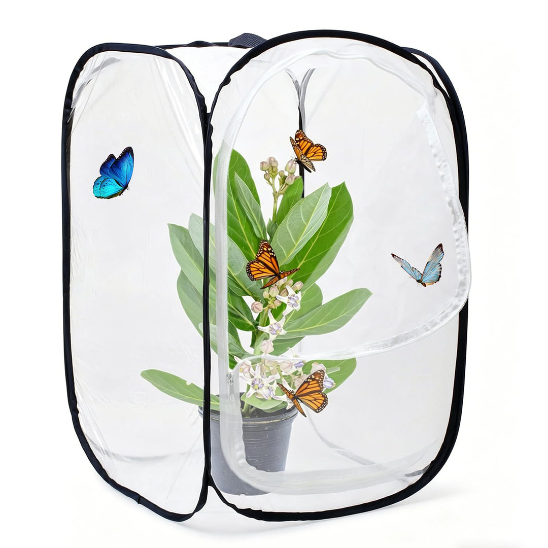 Schmetterling Habitat, Insektenkäfig, Insekten Habitat Käfig, ISchmetterlingskäfig, Mesh Insekten Pf