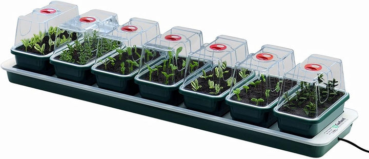 Garland Beheiztes Mini-Gewächshaus Super 7, 76 x 18,5 x 15 cm, für Keime und Stecklinge, 7 Stück