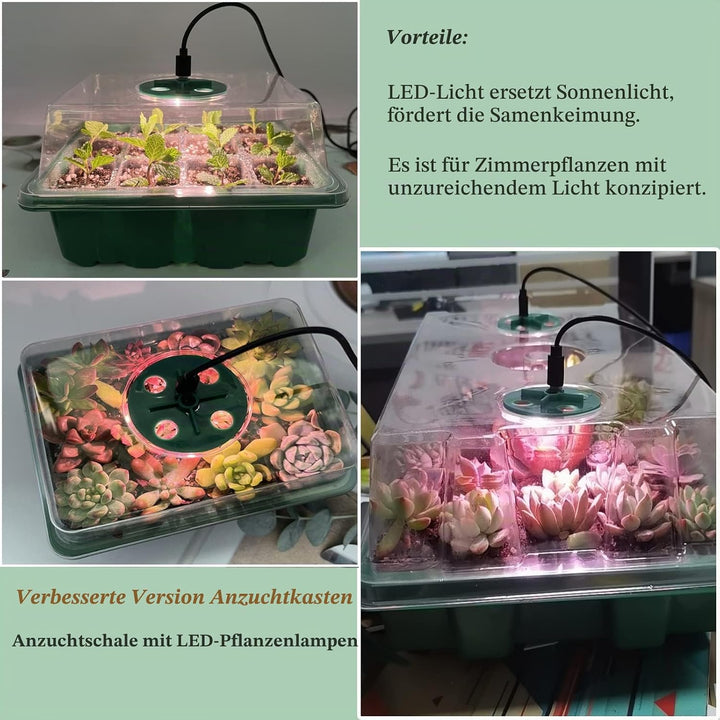 Mini Gewächshaus mit Licht, Anzucht Gewächshaus, Sonnenähnliche Pflanzenlichter mit vollem Spektrum,