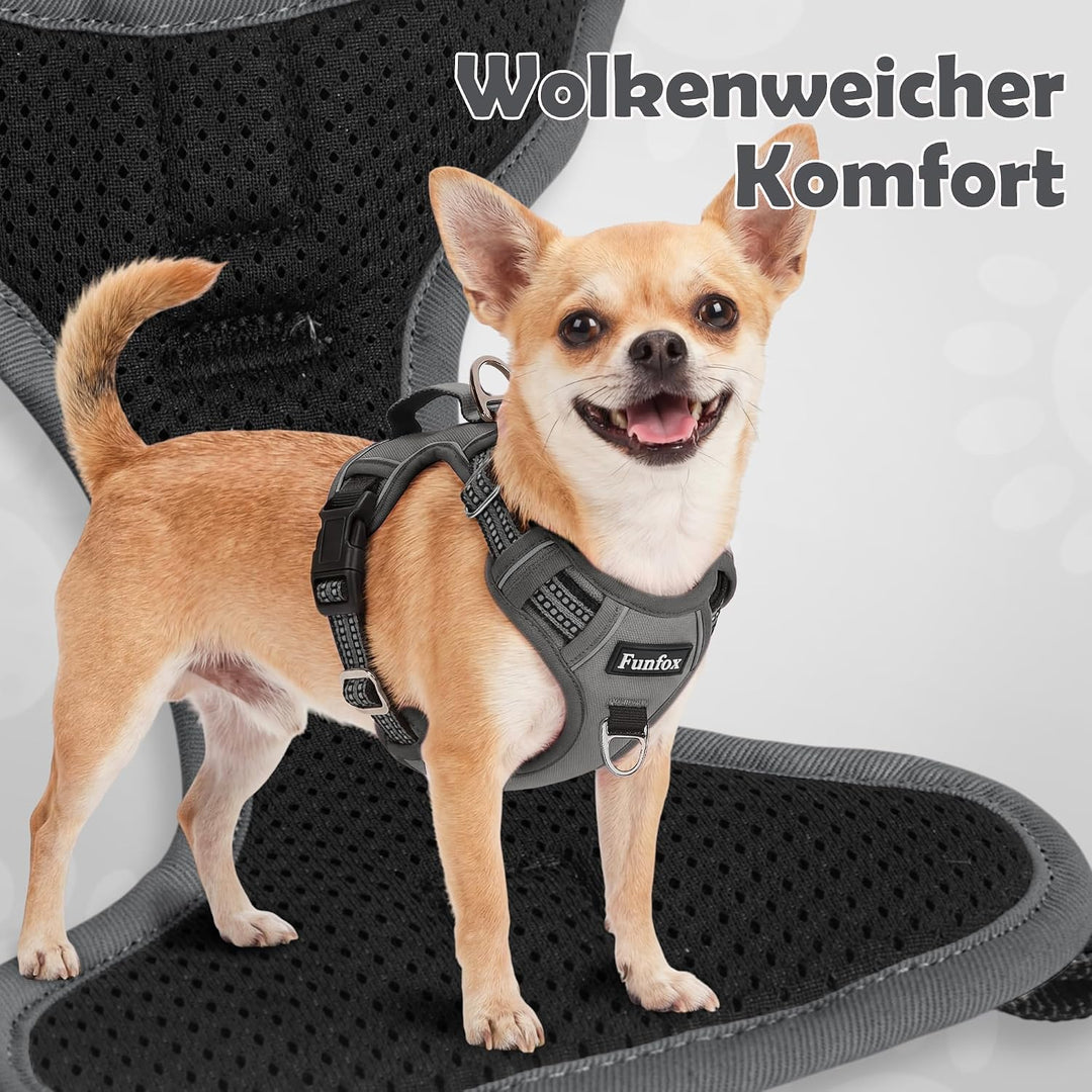 Funfox Hundegeschirr Kleine Hunde [S] - Anti Zug Welpengeschirr mit Griff &amp; Ringreflektoren, Atmungs