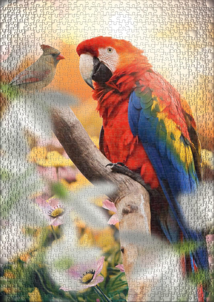 Ulmer Puzzleschmiede - Puzzle „Papagei“ - Klassisches 1000 Teile Puzzle – Farbenfrohes Tierpuzzle, r