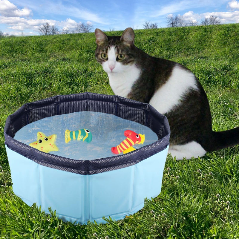 Faltbarer Katzen-Pool mit 3 Spielzeug Tierchen für Katzen 30 x 10 cm Katzenpool