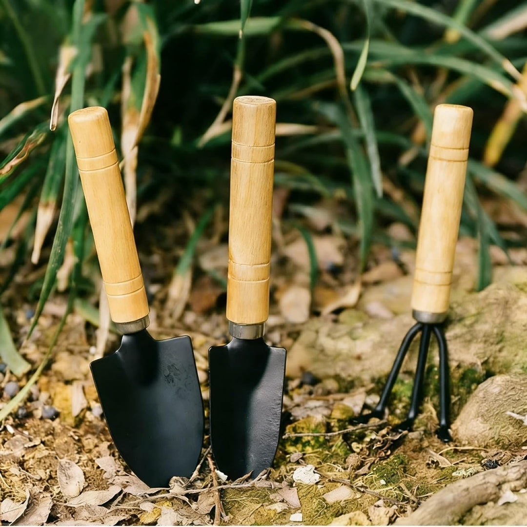 3 Stücke Mini Gartengeräte Set, Gartenschaufel Gartenwerkzeug Spaten Und Schaufel, Sukkulenten-Werkz