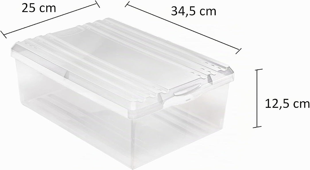 BranQ - Home essential Schuhbox Shoe Box mit Belüftungshaltelöcher und Deckel Kunststoff, 8l, Set vo