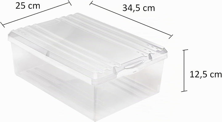 BranQ - Home essential Schuhbox Shoe Box mit Belüftungshaltelöcher und Deckel Kunststoff, 8l, Set vo