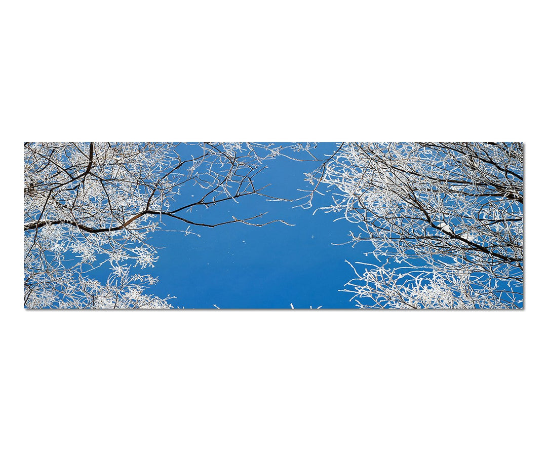 Paul Sinus Art Panoramabild auf Leinwand und Keilrahmen 150x50cm Winter Baumkronen Frost EIS Himmel