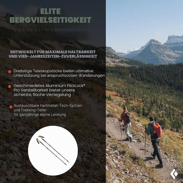 Black Diamond ALPINE CARBON CORK POLES, Ultra-Leichte Trekkingstöcke, Wanderstöcke mit Kork-Griff, v
