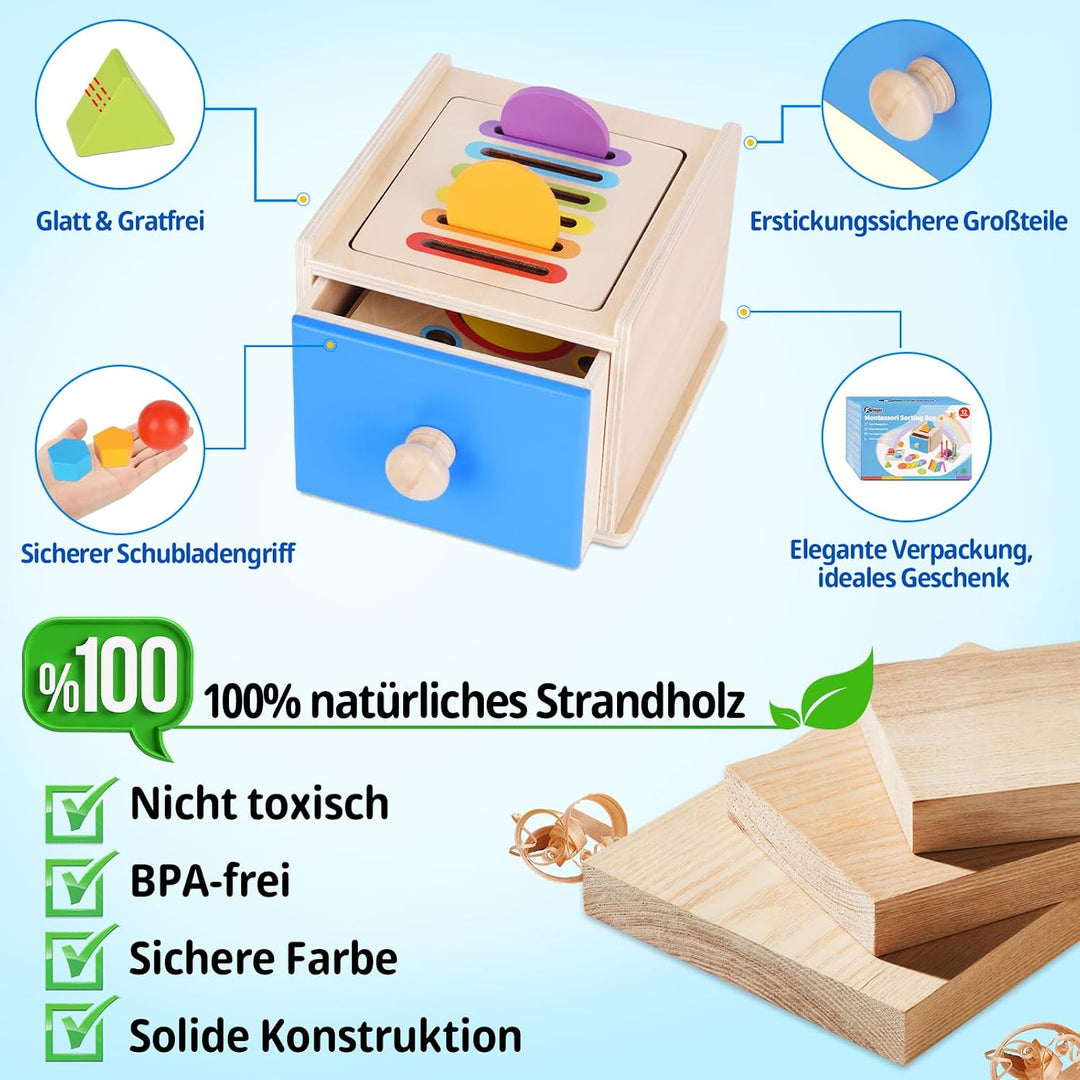FCSONU Montessori Spielzeug ab 1-3 Jahr|Sortierspiel Feinmotorik Steckspiel | 3in1: Holz Farbe Sorti