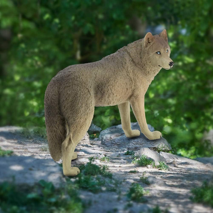 Wolf Figur Spielzeug Simulation Wildlife Tier Modell Spielzeug Zoo Tiere Modell Action Figuren Spiel