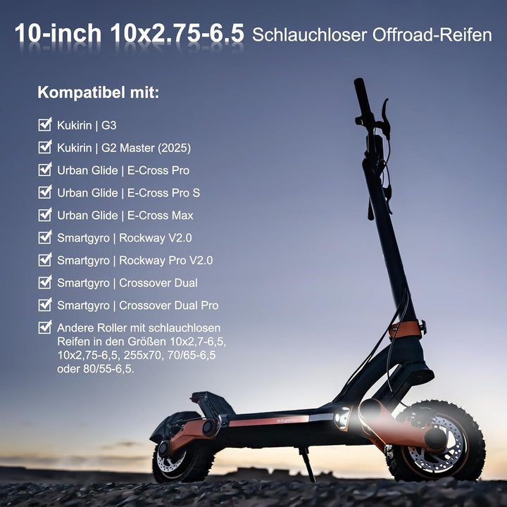 10x2,75-6,5 Off-Road Tubeless Reifen für Kukirin G2/G3/G2 Ultra/M4 Max/A1 Ersatzreifen für Speedway