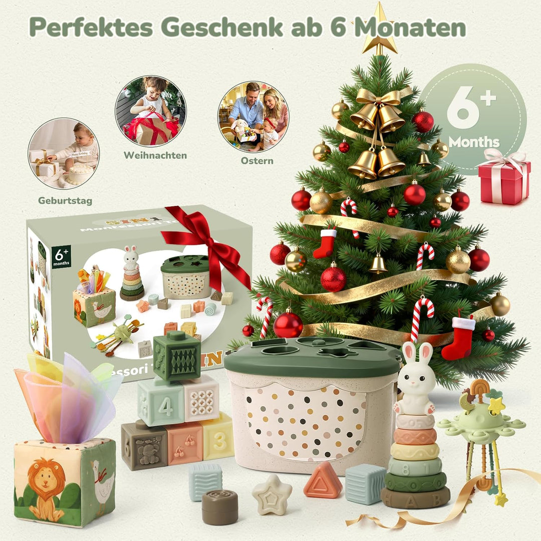 Montessori Spielzeug Baby ab 6 Monate, 5 in 1 Baby Spielzeug ab 7 8 9 Monate mit Bauklötze, Stapelri