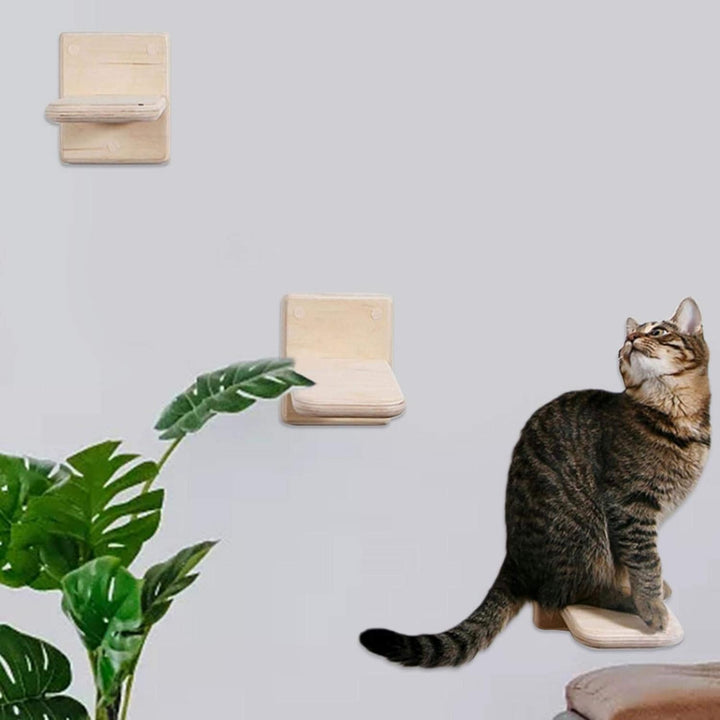 3PCS 12x19cm Katzen Wand Klettern Für Kätzchen | Klein Katzentreppe & Stufen Aus Holz | DIY Katzenle