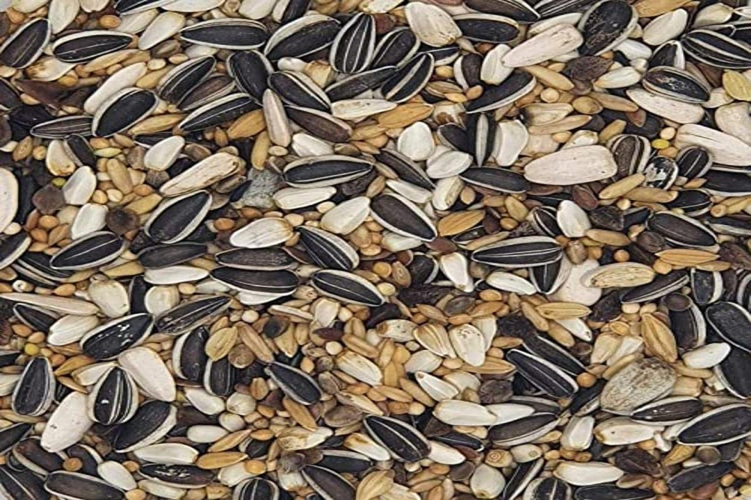 Versele Grosssittiche Standard 20 kg