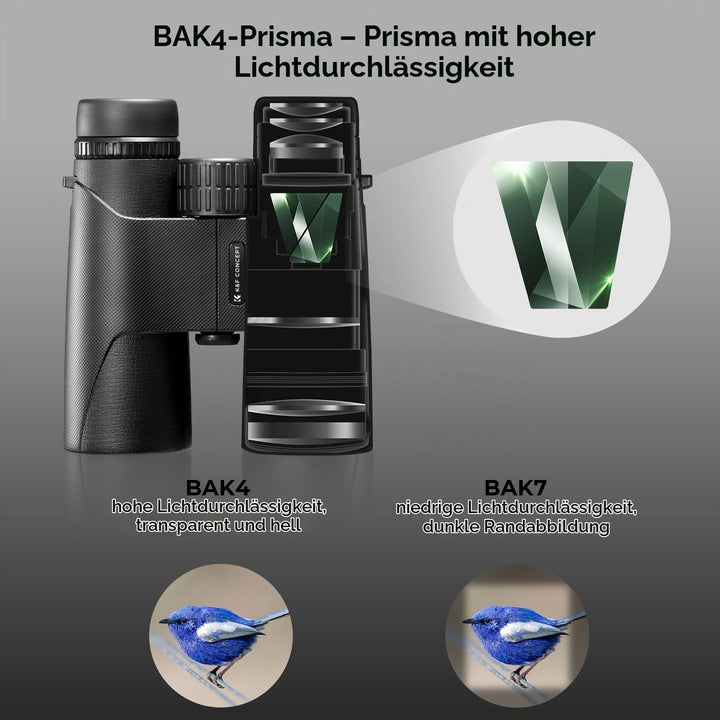 K&amp;F Concept Fernglas Erwachsene 10 * 42 HD Ferngläser Schwarz BAK4 mit Stativumbauhalterung für Voge