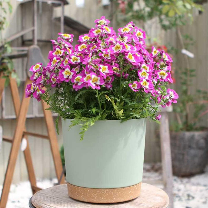 ZMTECH Blumentopf 20 cm Durchmesser übertöpfe für zimmerpflanzen, Kunststoff blumentöpfe mit Unterse