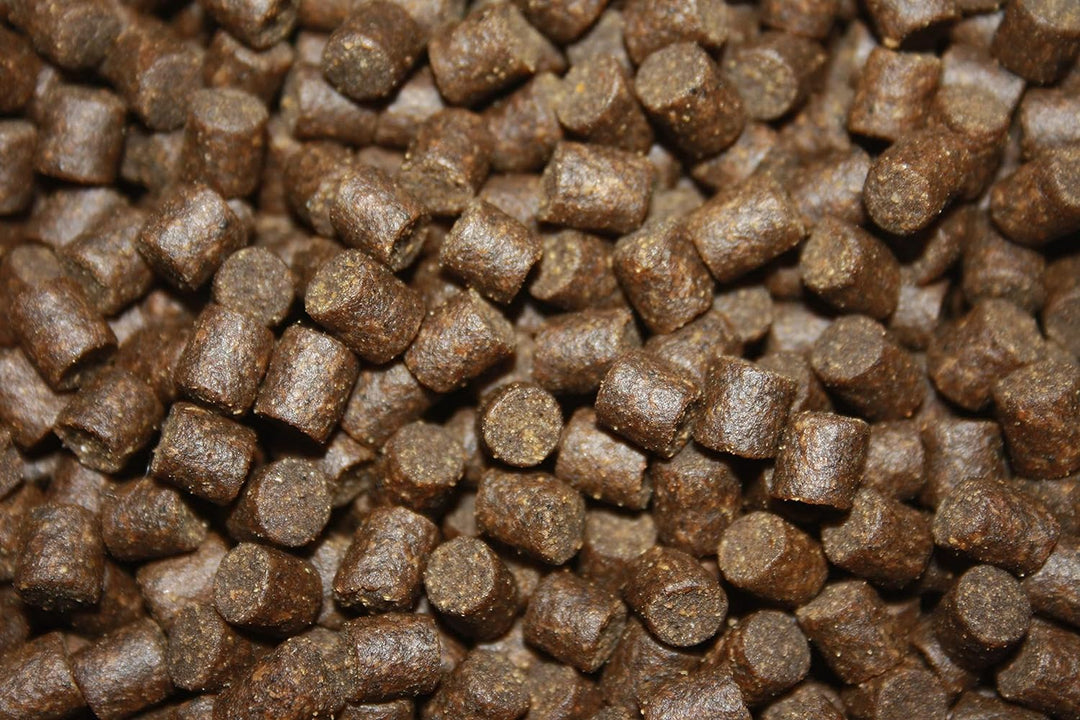 Winterfutter Koi Sinkfutter Koifutter für den Winter arktische Rohstoffe gut verdaulich bei Kälte En