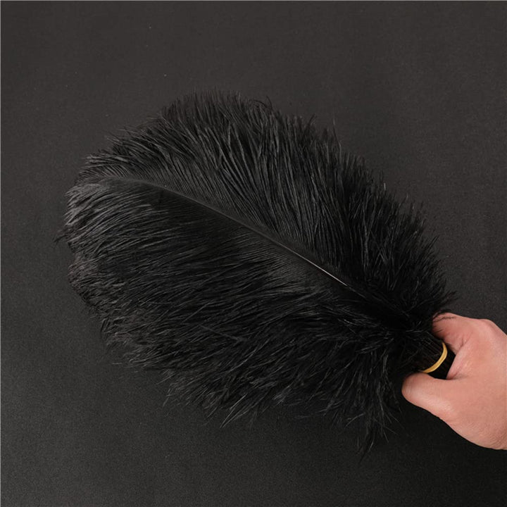 10 Stück 30-35cm Natürliche Straussenfedern,Strauss Feder zum Basteln,Bastel Federn für DIY Traumfän