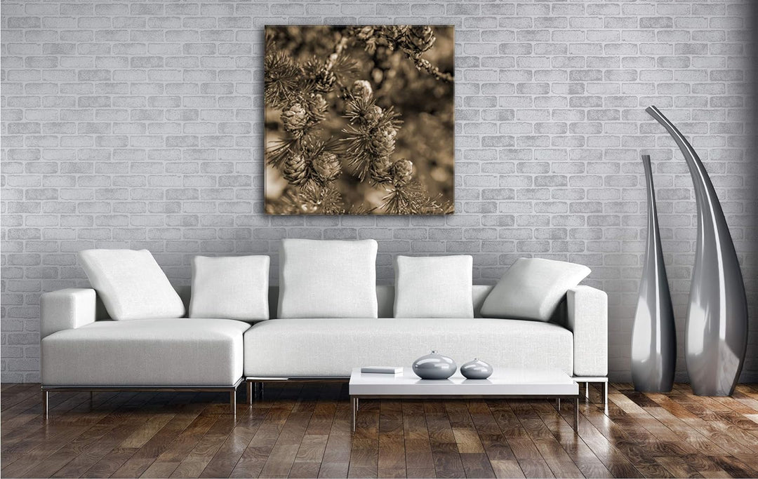 deyoli Nadelbaumzweig Format: 70x70 Effekt: Sepia als Leinwandbild, Motiv fertig gerahmt auf Echthol