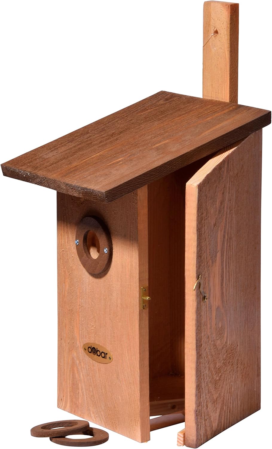 dobar® 22419e Nistkasten Einblick - Nisthöhle für Wildvögel - Höhlenbrüter-Nistkasten Massivholz - P