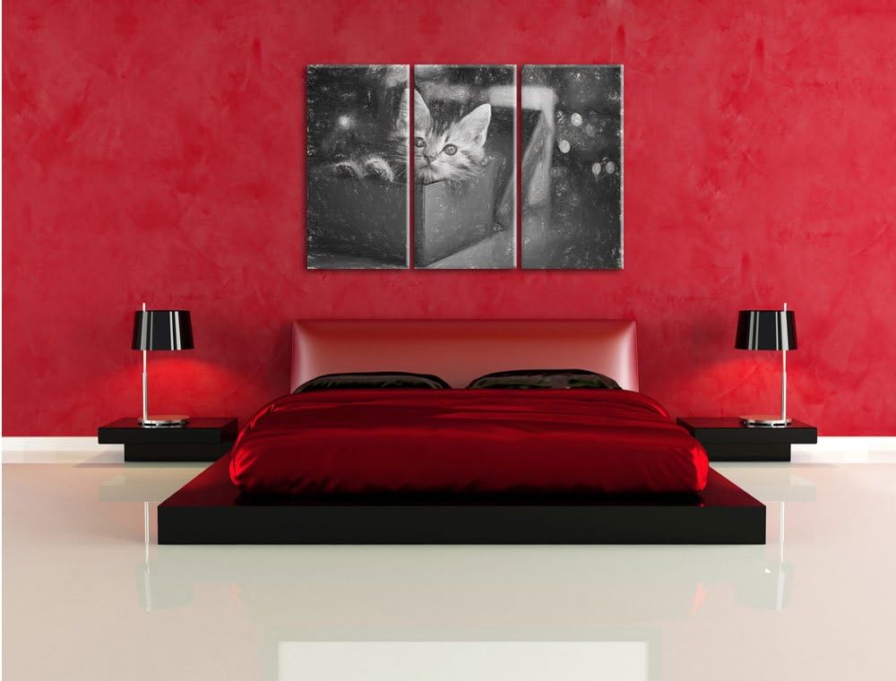 Pixxprint süsses Kätzchen in der Box Kunst Kohle Effekt 3-Teiler Leinwandbild 120x80 Bild auf Leinwa