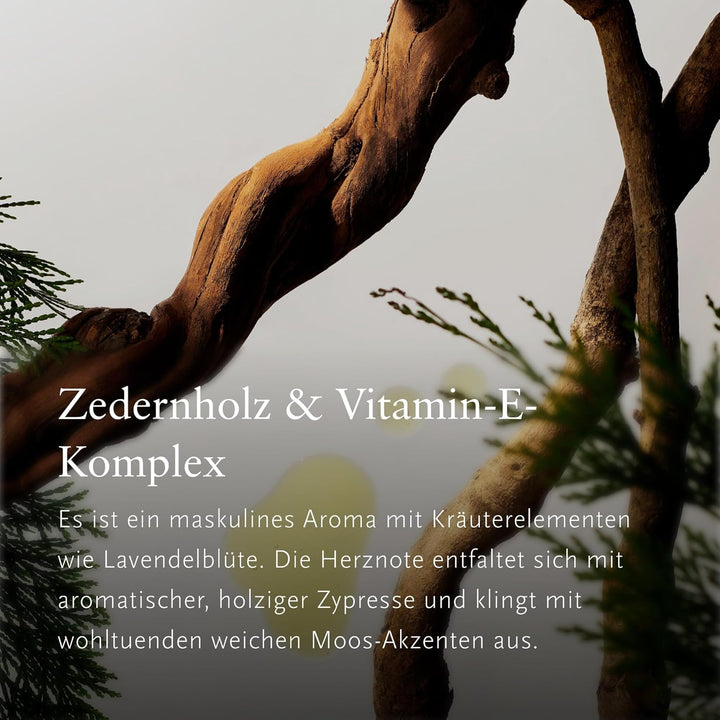 RITUALS The Ritual of Homme Autoparfum Geschenkset – Enthält ein Autoparfum, eine Packung Autotücher