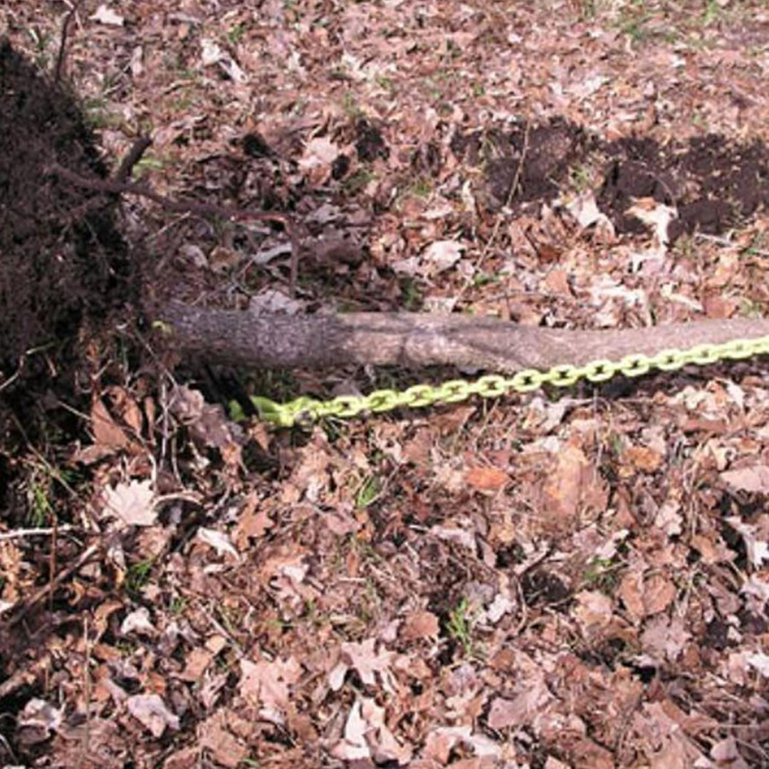 BRUSH Grubber bg-01 Original Bürste Grubber, S