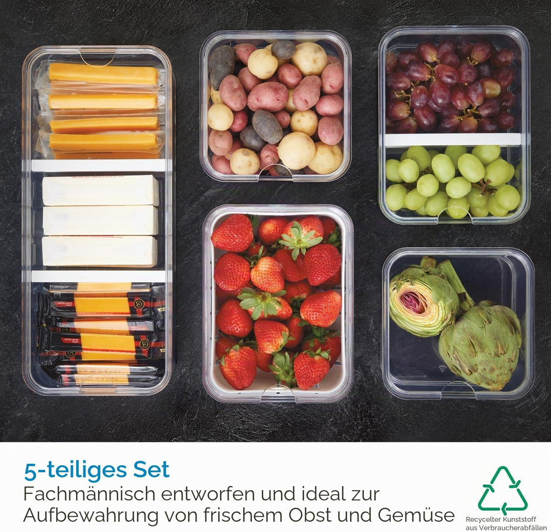 iDesign Kühlschrank-Organizer-Set aus Kunststoff, 5 Stück, transparent/mattweiss, 5 Stück Set of 5 T